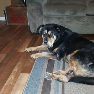 Meet your Posher, Laura